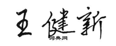 駱恆光王健新行書個性簽名怎么寫