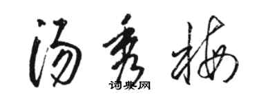 駱恆光湯秀梅草書個性簽名怎么寫