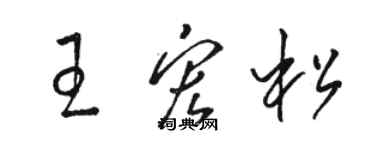 駱恆光王宏松草書個性簽名怎么寫
