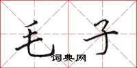 田英章毛子楷書怎么寫