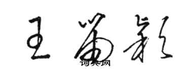 駱恆光王笛穎草書個性簽名怎么寫