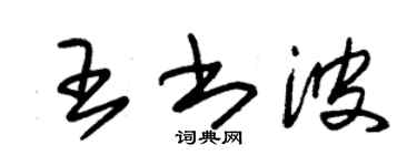 朱錫榮王書波草書個性簽名怎么寫