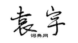 曾慶福袁宇行書個性簽名怎么寫