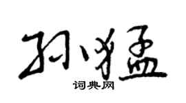 曾慶福孫猛行書個性簽名怎么寫