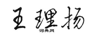 駱恆光王理揚行書個性簽名怎么寫