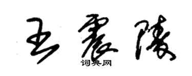 朱錫榮王震陵草書個性簽名怎么寫