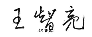 駱恆光王智亮草書個性簽名怎么寫