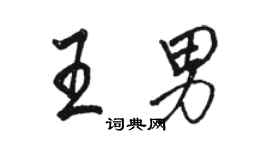 駱恆光王男行書個性簽名怎么寫