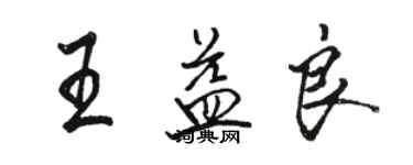 駱恆光王益良行書個性簽名怎么寫