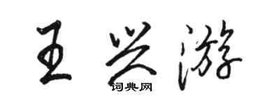 駱恆光王興遊行書個性簽名怎么寫