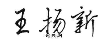 駱恆光王揚新行書個性簽名怎么寫