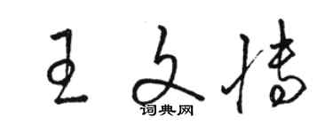 駱恆光王文博草書個性簽名怎么寫