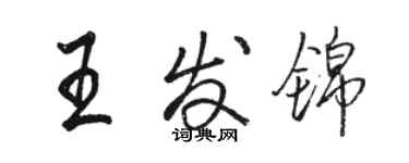 駱恆光王發錦行書個性簽名怎么寫