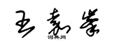 朱錫榮王嘉峰草書個性簽名怎么寫