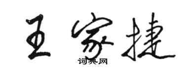 駱恆光王家捷行書個性簽名怎么寫