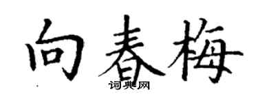 丁謙向春梅楷書個性簽名怎么寫