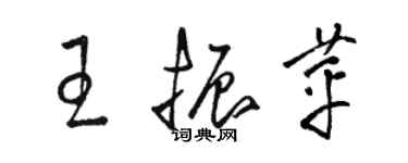 駱恆光王振苹草書個性簽名怎么寫