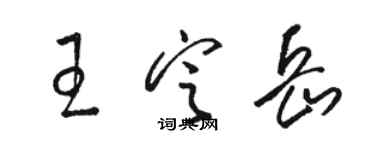 駱恆光王定岳草書個性簽名怎么寫