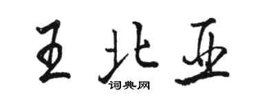 駱恆光王北亞行書個性簽名怎么寫