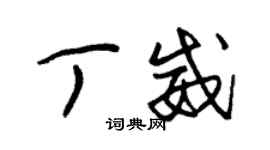 朱錫榮丁威草書個性簽名怎么寫