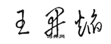 駱恆光王開焰草書個性簽名怎么寫