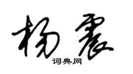 朱錫榮楊震草書個性簽名怎么寫