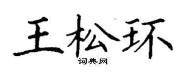 丁謙王松環楷書個性簽名怎么寫
