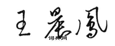 駱恆光王晨鳳草書個性簽名怎么寫