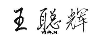 駱恆光王聰輝行書個性簽名怎么寫