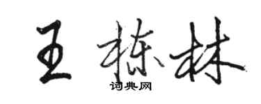 駱恆光王棟林行書個性簽名怎么寫