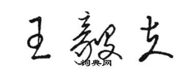 駱恆光王毅夫草書個性簽名怎么寫