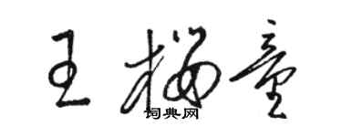 駱恆光王櫻童草書個性簽名怎么寫