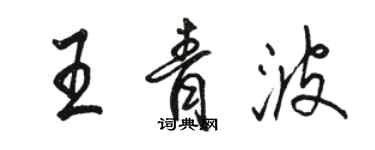 駱恆光王青波行書個性簽名怎么寫