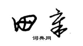 朱錫榮田章草書個性簽名怎么寫