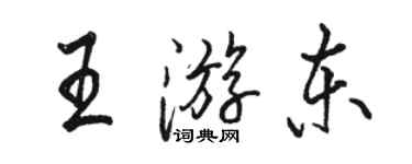 駱恆光王游東行書個性簽名怎么寫