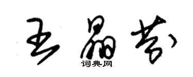 朱錫榮王晶芬草書個性簽名怎么寫