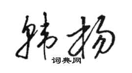 駱恆光韓楊草書個性簽名怎么寫