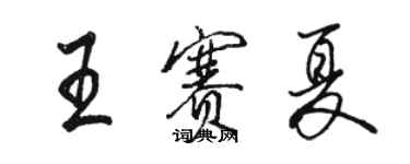 駱恆光王賽夏行書個性簽名怎么寫