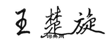 駱恆光王楚旋行書個性簽名怎么寫