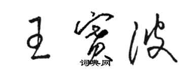 駱恆光王賽波草書個性簽名怎么寫