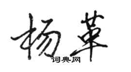 駱恆光楊革行書個性簽名怎么寫