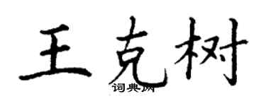 丁謙王克樹楷書個性簽名怎么寫