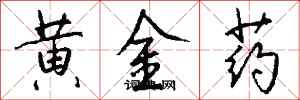 錢沛雲黃金藥行書怎么寫