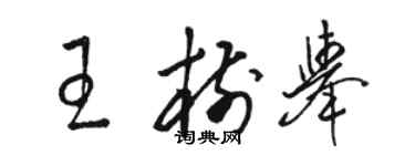 駱恆光王樹舉草書個性簽名怎么寫