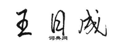 駱恆光王日成行書個性簽名怎么寫