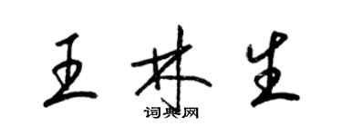 梁錦英王林生草書個性簽名怎么寫