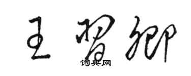 駱恆光王習卿草書個性簽名怎么寫