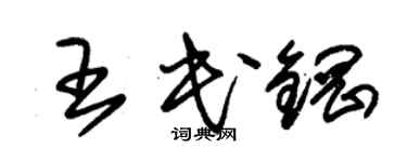 朱錫榮王民鋼草書個性簽名怎么寫