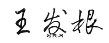 駱恆光王髮根行書個性簽名怎么寫