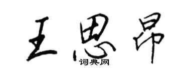 王正良王思昂行書個性簽名怎么寫
